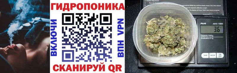 Бошки марихуана AK-47  Ершов 